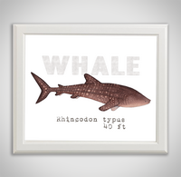 whale-framed