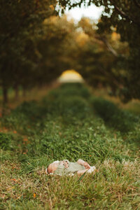 grand-junction-colorado-newborn-photographer-15