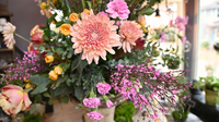 Website photos TG (2)