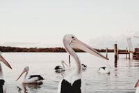 Audrey-valeriia-miller-uTfWTntu-EQ-unsplash