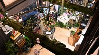 Website photos TG (1)