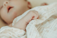 grand-junction-colorado-newborn-photographer-74