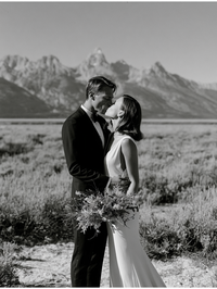 Design Bar - Grand Tetons 29