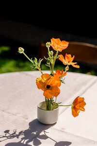 FrancisandLilly_Wedding_0045