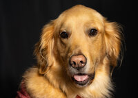 20191127-DSC04179-Edit