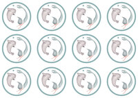 labels