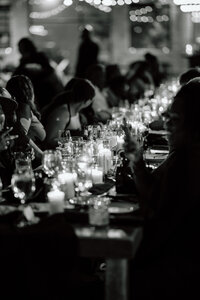 MayahLeePhotography-ChicagoWedding-PT-02012