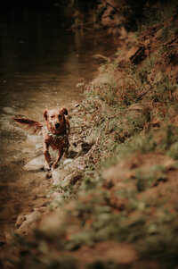 ZettelPhotography-2961