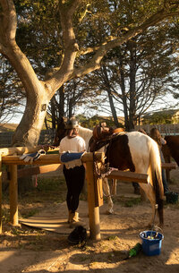 arroyo-grande-equestrian-center-34