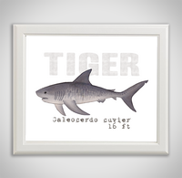 tiger-framed