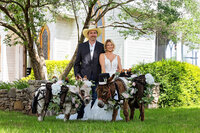 wedding-with-donkeys-bubble-burros
