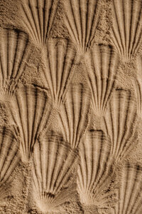 Sand 2
