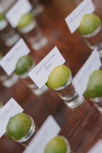 portfolio-editorial-destination-wedding-in-cabo21