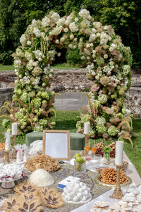 chateau-de-lesigny-editorial-wedding28