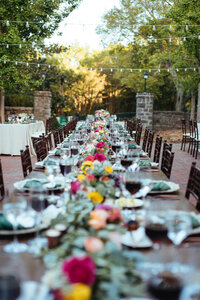 Emily & Doug - Cheekwood6