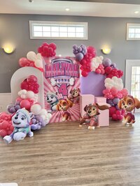 paw patrol balloons and backdrop for kids birthday party Baltimore and Washington