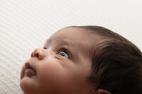 memphis newborn photography by jen howell 21