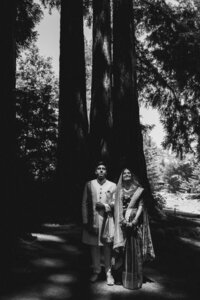 Sonia_Hammad_Wedding-89