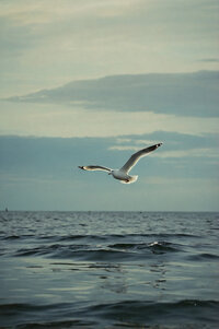 1c46c274-901c-4ff7-b46b-f02e607936a4