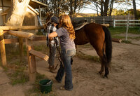 arroyo-grande-equestrian-center-33
