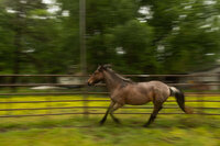 new-jersey-equestrian-riding-08