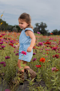 IMG_1737-Edit
