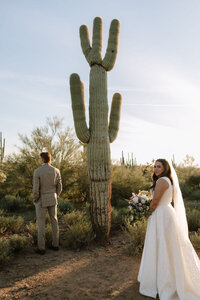 bridalsneakpeeks