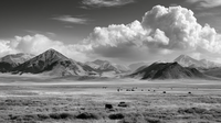 Design Bar - Grand Tetons 3