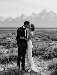 Design Bar - Grand Tetons 30