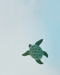 turtle