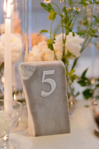 Harbor Hotel Lake Chautauqua Wedding - Courtney Paige Photographyt-93