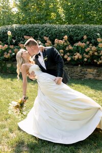Groom dips and kisses his bride in a sunlit garden with blush roses and lush hedges in Northern Virginia