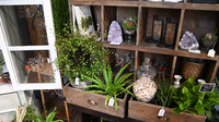 Twisted Gypsy Website Photos (1)