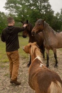 new-jersey-equestrian-riding-03