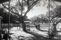 arroyo-grande-equestrian-center-11