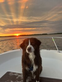 Billieboat