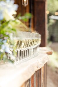 denver-wedding-photographer-242