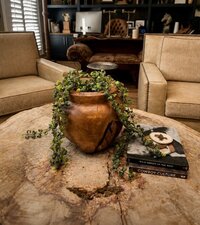 IMG_3316