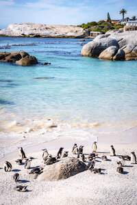 Turquoise Mediterranean sea with rocky coastline and penguins along a peaceful beach