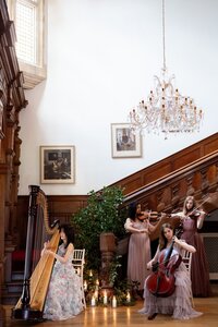 wedding-string-quartet-bridgerton