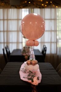 Seattle-Balloons-103