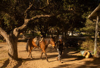 arroyo-grande-equestrian-center-15
