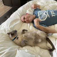 etienne-warnery-mirroring-cat