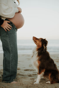 busselton-unposed-maternity-photography-by-sophie1