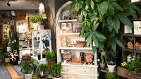 Twisted Gypsy Website Photos (3)