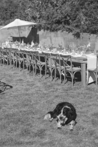 TheTidesCottagesWeddingPenderIslandWedding0C7A3041-2