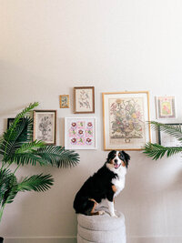 kathleen-designer-behind-sister-trees-studio-portraits-with-art-and-textures-7-2