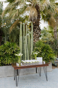 portfolio-editorial-destination-wedding-in-cabo20