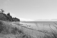 SeaLionEstateWeddingSookeVIctoriaKVD_7934-2