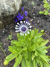 IMG_9416